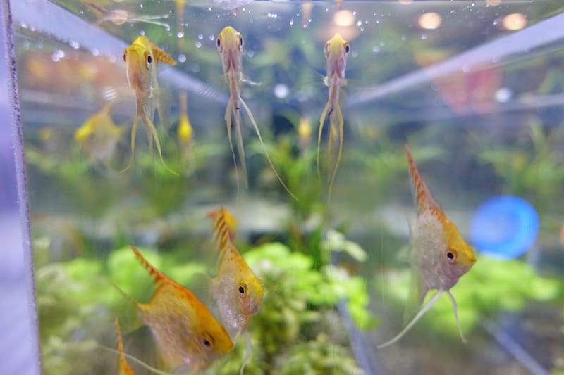 DSC07903_副本