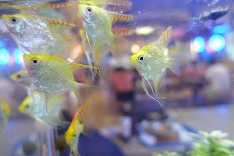 DSC07906_副本