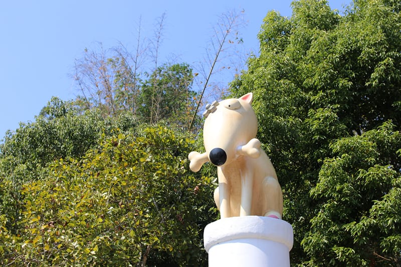 IMG_8471_副本 IMG_8471_副本