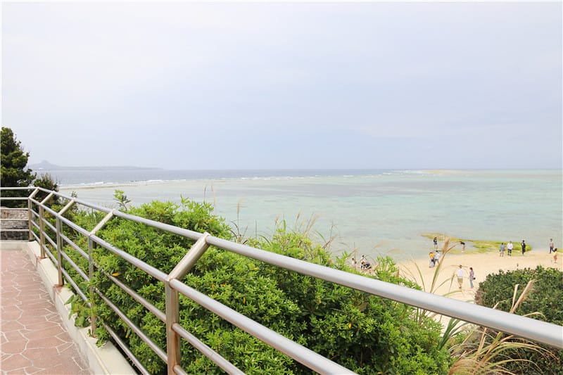 日本旅遊-美麗海水族館 海洋博公園 8.6公尺超大鯨鯊 迷彩絢爛的美麗海洋世界 - 第41張圖 IMG_2234