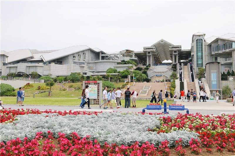 日本旅遊-美麗海水族館 海洋博公園 8.6公尺超大鯨鯊 迷彩絢爛的美麗海洋世界 - 第39張圖 IMG_2253