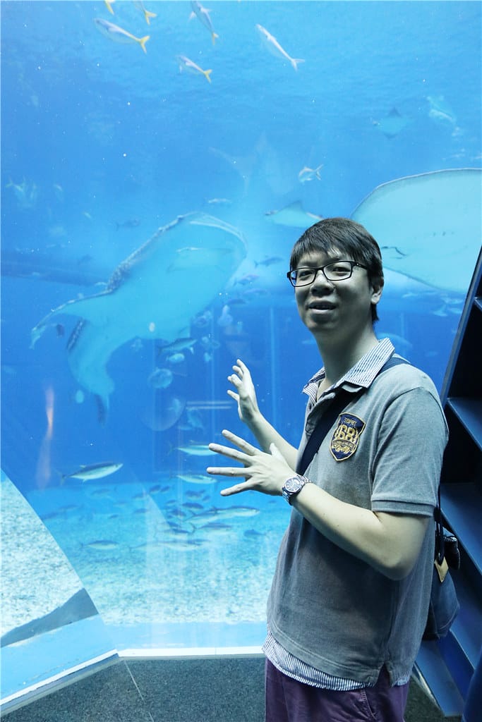 日本旅遊-美麗海水族館 海洋博公園 8.6公尺超大鯨鯊 迷彩絢爛的美麗海洋世界 - 第32張圖 IMG_2214