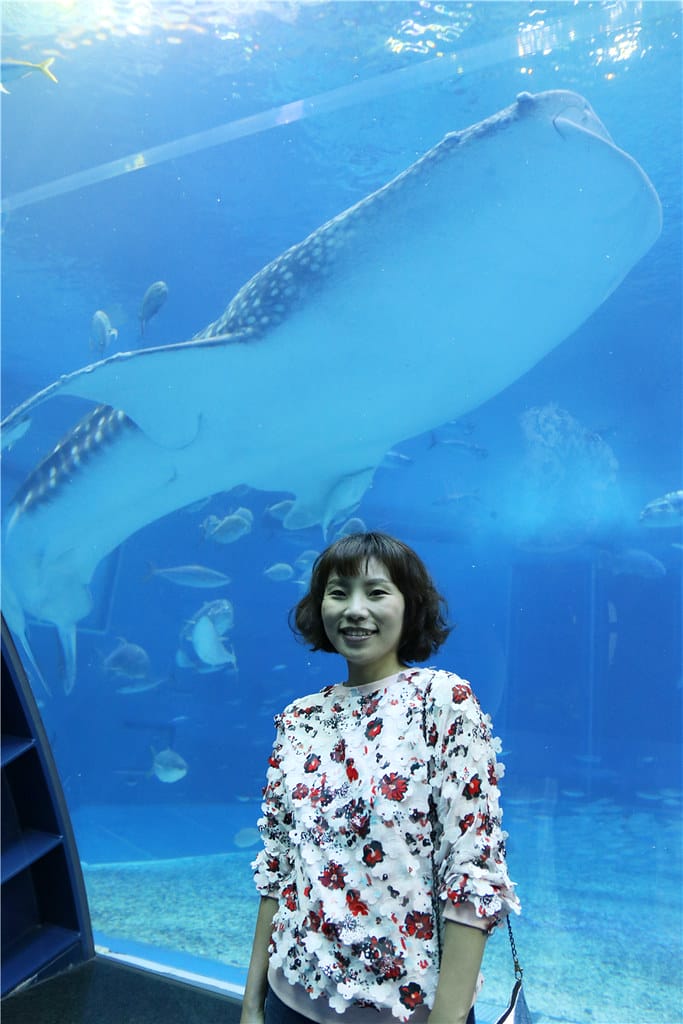 日本旅遊-美麗海水族館 海洋博公園 8.6公尺超大鯨鯊 迷彩絢爛的美麗海洋世界 - 第33張圖 IMG_2209