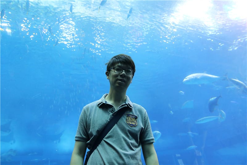 日本旅遊-美麗海水族館 海洋博公園 8.6公尺超大鯨鯊 迷彩絢爛的美麗海洋世界 - 第31張圖 IMG_2201