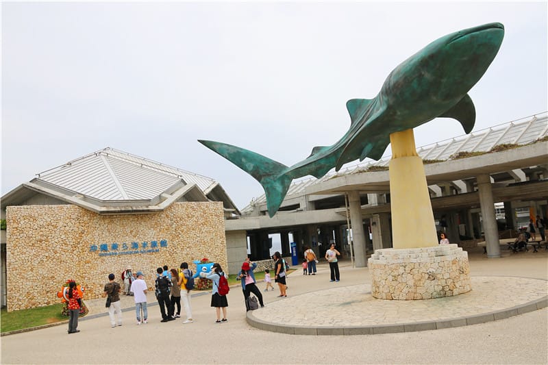 日本旅遊-美麗海水族館 海洋博公園 8.6公尺超大鯨鯊 迷彩絢爛的美麗海洋世界 - 第2張圖 IMG_2083