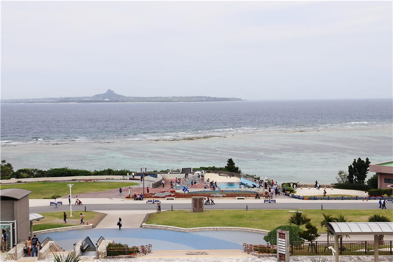 日本旅遊-美麗海水族館 海洋博公園 8.6公尺超大鯨鯊 迷彩絢爛的美麗海洋世界 - 第4張圖 IMG_2094