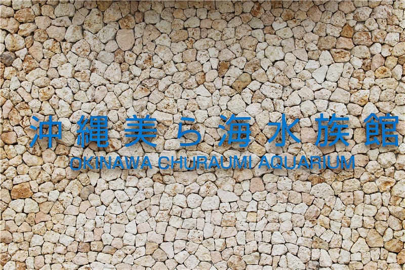 日本旅遊-美麗海水族館 海洋博公園 8.6公尺超大鯨鯊 迷彩絢爛的美麗海洋世界 - 第1張圖 IMG_2084