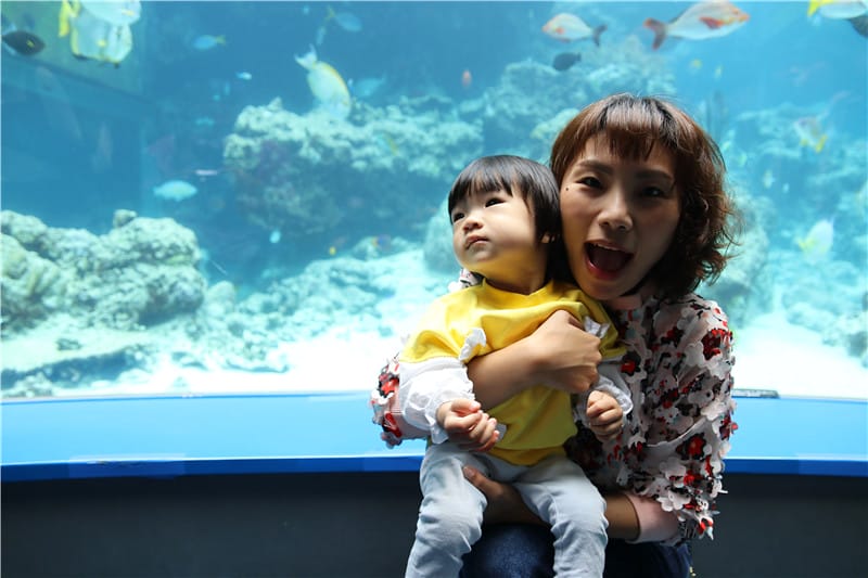 日本旅遊-美麗海水族館 海洋博公園 8.6公尺超大鯨鯊 迷彩絢爛的美麗海洋世界 - 第16張圖 IMG_2136