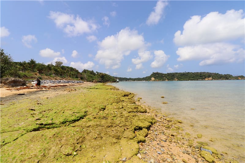 日本旅遊-古宇利島 1960公尺長的第2大離島跨海大橋 遊客必訪的絕美打卡景點 - 第8張圖 IMG_2331