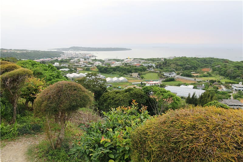 日本美食-花人逢 沖繩北島必遊的絕佳海景View及超美味牽絲Pizza美食餐廳!! - 第13張圖 IMG_2633