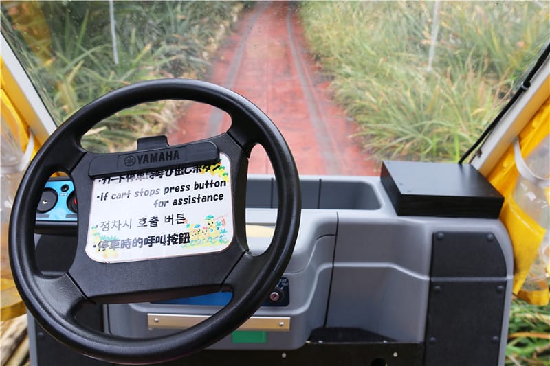 日本旅遊-名護鳳梨公園 可愛鳳梨車新鮮上路!!還有卡哇伊鳳梨號等你來開噗噗 - 第27張圖 IMG_2736