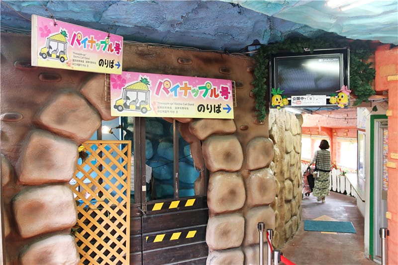 日本旅遊-名護鳳梨公園 可愛鳳梨車新鮮上路!!還有卡哇伊鳳梨號等你來開噗噗 - 第24張圖 IMG_2728