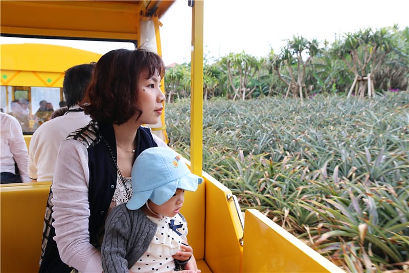 日本旅遊-名護鳳梨公園 可愛鳳梨車新鮮上路!!還有卡哇伊鳳梨號等你來開噗噗 - 第8張圖 IMG_2693