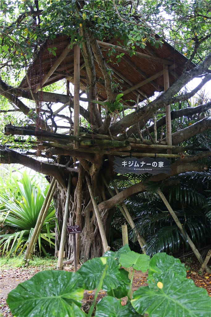 日本旅遊-琉球村主題樂園 沖繩風丨風獅爺 首次旅行琉球必逛的推薦傳藝景點!! - 第27張圖 IMG_3165