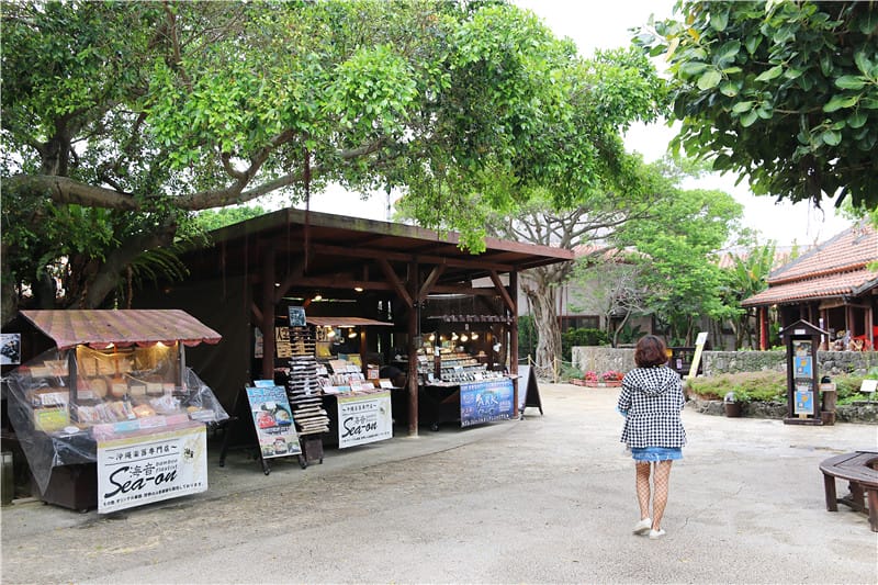 日本旅遊-おきなわワールド沖繩世界文化王國・玉泉洞 長達5公里的鐘乳石洞 - 第27張圖 IMG_3501