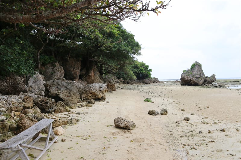 日本美食-濱邊的茶屋(浜辺の茶屋) 沖繩南島的下午茶 珊瑚礁沙灘丨海景咖啡 - 第5張圖 IMG_3535