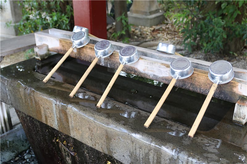 日本旅遊-波之上神宮 那霸市丨波之上海灘 建築於岩石邊的歷史海上神社 - 第7張圖 IMG_4064
