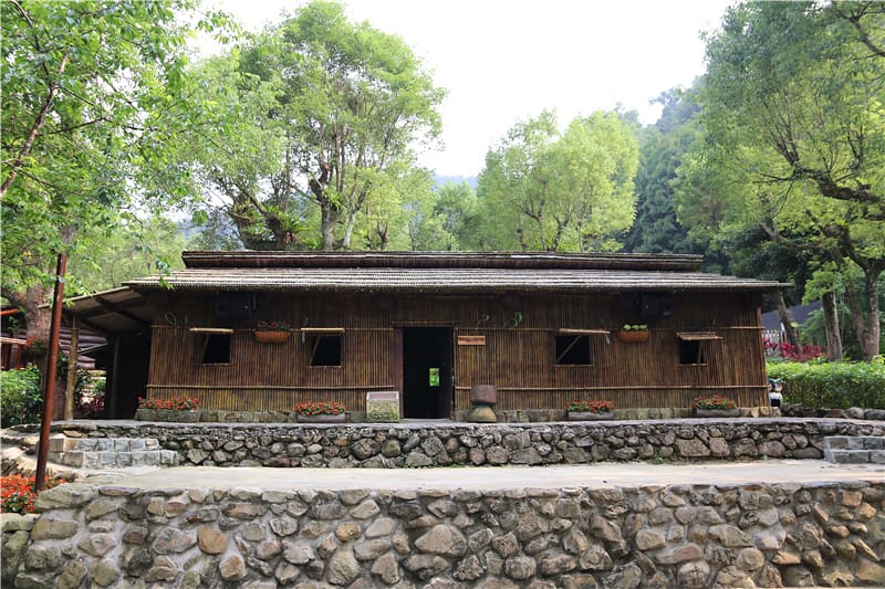 南投旅遊-九族文化村 纜車丨文化丨遊樂園 老記憶.新生命 沒有櫻花季也好好玩~ - 第30張圖 IMG_4657