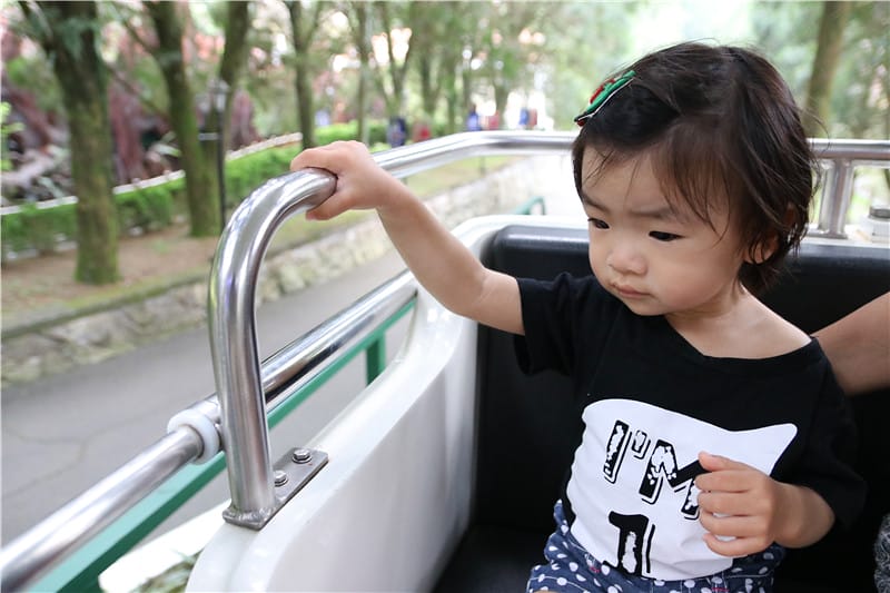 南投旅遊-九族文化村 纜車丨文化丨遊樂園 老記憶.新生命 沒有櫻花季也好好玩~ - 第47張圖 IMG_4685