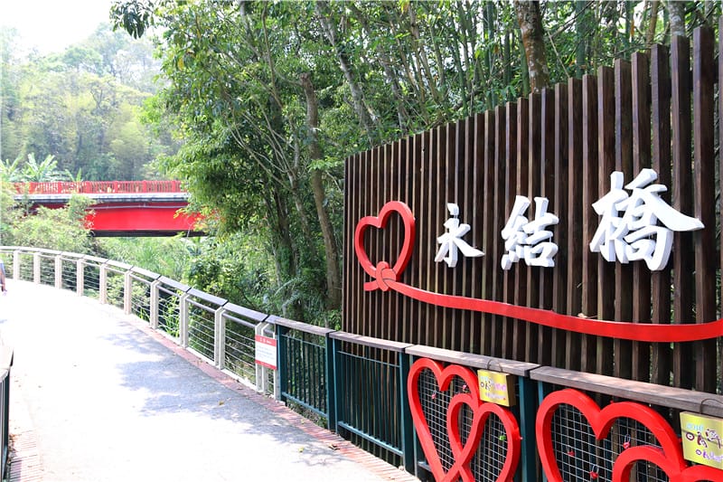 南投旅遊-日月潭環湖自行車道 最美的台灣自行車道 6大主題路線任你暢遊!! - 第16張圖 IMG_4805