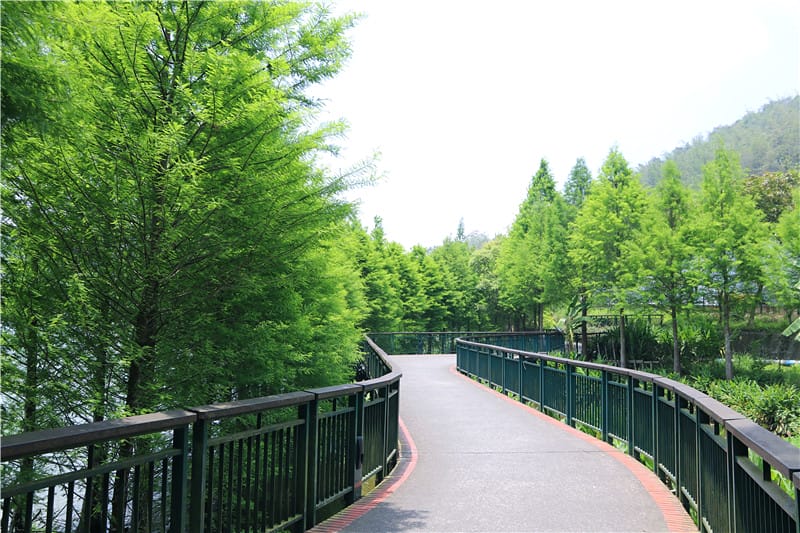 南投旅遊-日月潭環湖自行車道 最美的台灣自行車道 6大主題路線任你暢遊!! - 第4張圖 IMG_4767