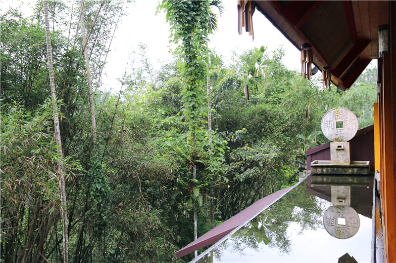 南投美食-烏布雨林峇里島主題餐廳 十足懶散峇里島風丨可惜餐點有待加強改善 - 第18張圖 IMG_5095