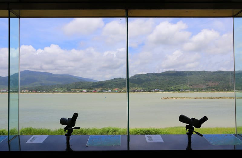 屏東旅遊-龍鑾潭自然中心 南台灣的賞島天堂 免費望遠鏡讓你暢玩到底!! - 第12張圖 IMG_7824
