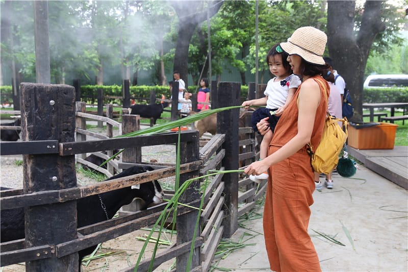 高雄旅遊-華一休閒農場 嘉南羊乳高雄區示範牧場 小牧場丨大趣味 - 第32張圖 IMG_8711