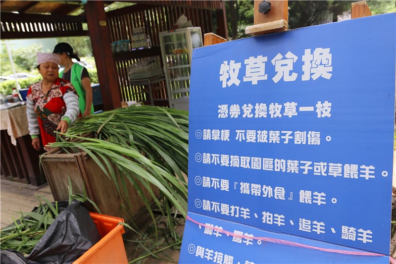 高雄旅遊-華一休閒農場 嘉南羊乳高雄區示範牧場 小牧場丨大趣味 - 第26張圖 IMG_8727