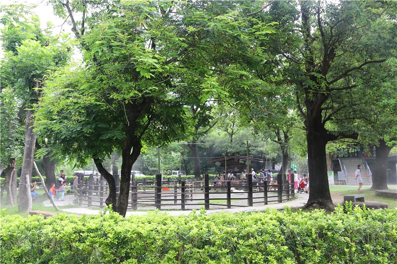 高雄旅遊-華一休閒農場 嘉南羊乳高雄區示範牧場 小牧場丨大趣味 - 第23張圖 IMG_8732