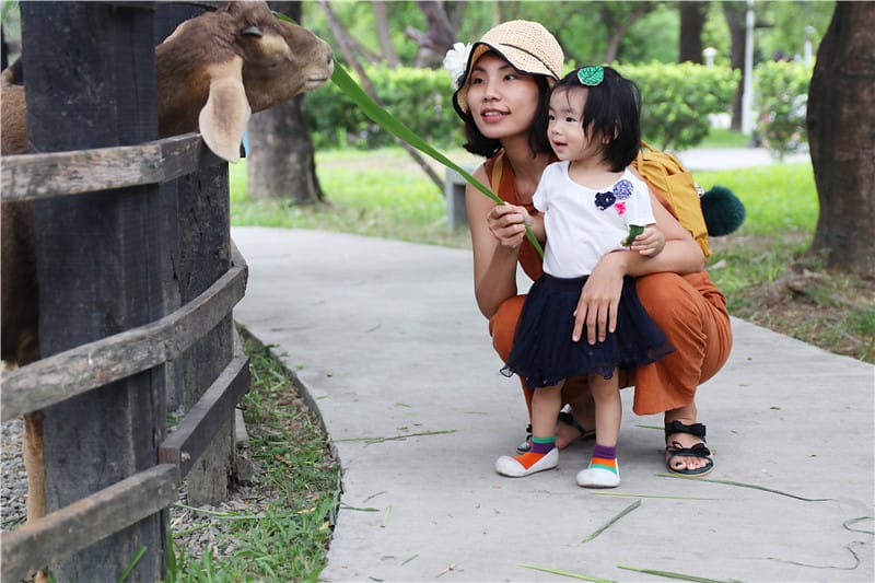 高雄旅遊-華一休閒農場 嘉南羊乳高雄區示範牧場 小牧場丨大趣味 - 第31張圖 IMG_8707