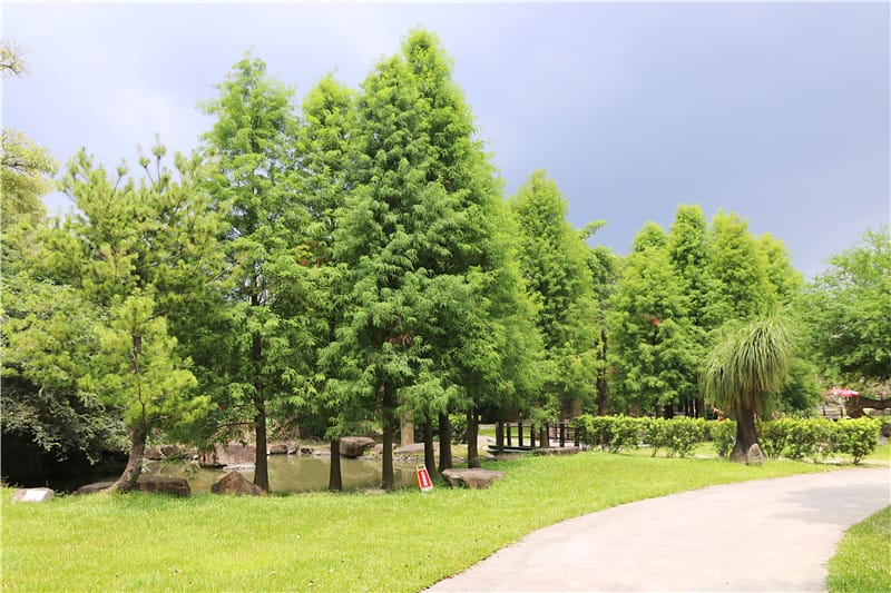 高雄旅遊-華一休閒農場 嘉南羊乳高雄區示範牧場 小牧場丨大趣味 - 第21張圖 IMG_8728