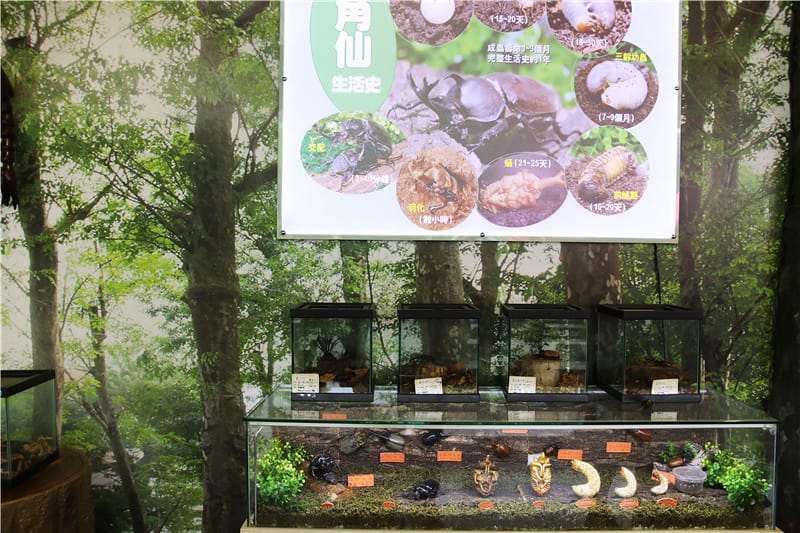 高雄旅遊-華一休閒農場 嘉南羊乳高雄區示範牧場 小牧場丨大趣味 - 第8張圖 IMG_8681