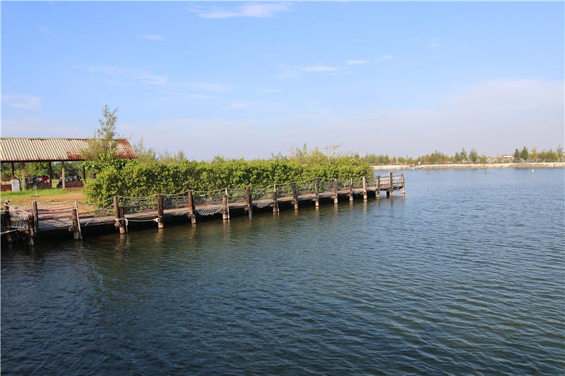 台南旅遊-七股鹽山 親子趣味丨老牌景點 台南鹽礦文化資產 全新活化。享樂生活 - 第33張圖 IMG_1124