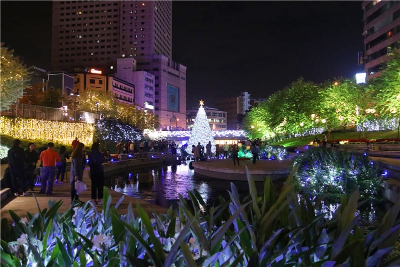 IMG_9804