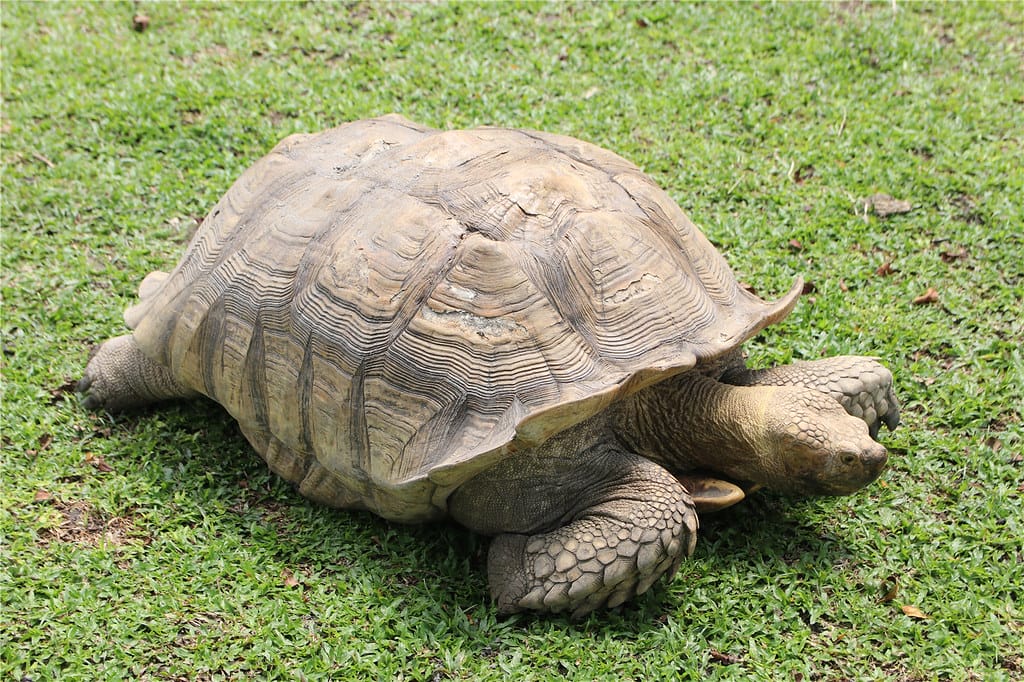 IMG_1592