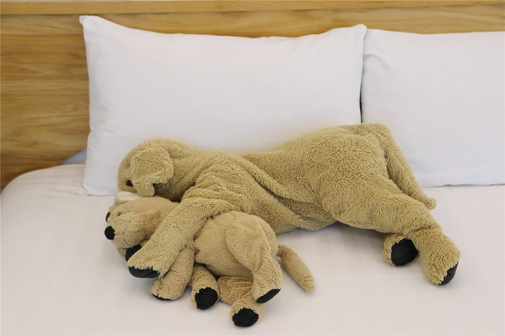 IMG_0088