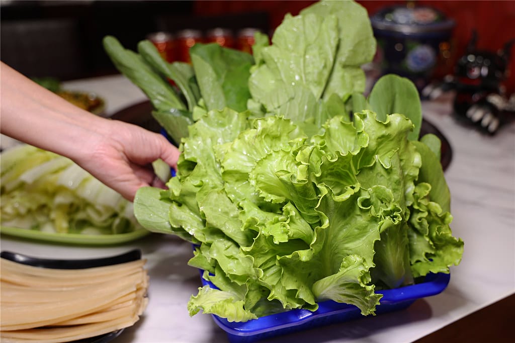 台南美食-鄉村柴火雞 正宗!! 源自四川道地柴火雞丨特製辣炒 090A9228