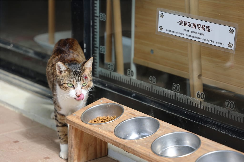高雄美食-沃野山丘 阿公店水庫旁的地中海風格義式小餐館 高雄美食-沃野山丘 阿公店水庫旁的地中海風格義式小餐館