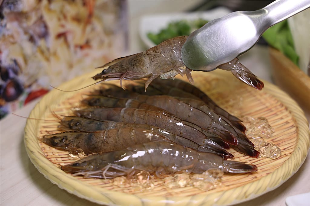 台南美食-芳鍋魚翅火鍋 原汁甘醇的鮮甜湯頭丨品嚐不一樣的平價