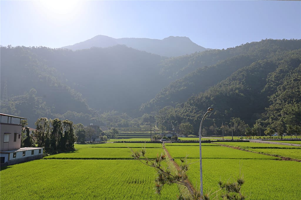 台東住宿-茶田關舍貳館 超美水稻田景觀民宿丨令人驚豔的手作早