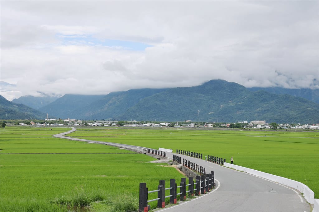 台東住宿-好和院景HowHas 傾聽一晚稻穗搖曳的自然音樂會