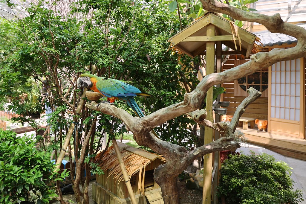 高雄旅遊-天使&惡魔寵物互動園區 城市光廊的華麗轉身!? 超