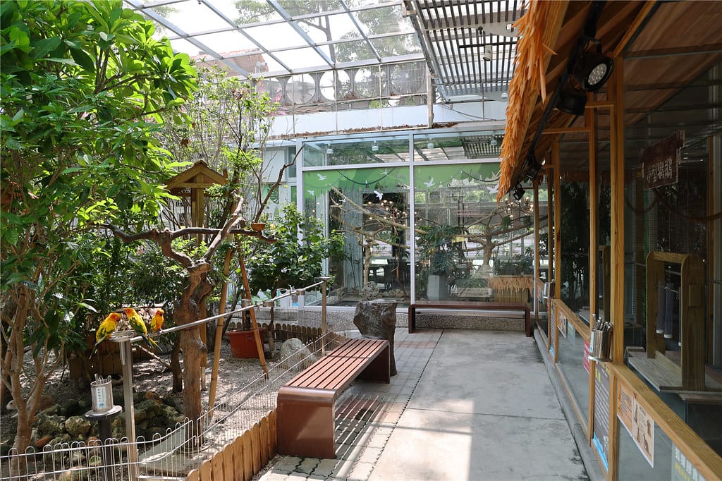 高雄旅遊-天使&惡魔寵物互動園區 城市光廊的華麗轉身!? 超