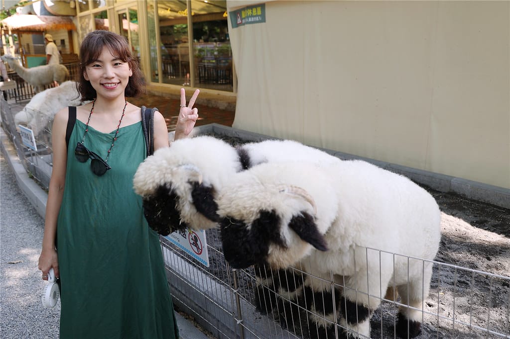 高雄旅遊-天使&惡魔寵物互動園區 城市光廊的華麗轉身!? 超