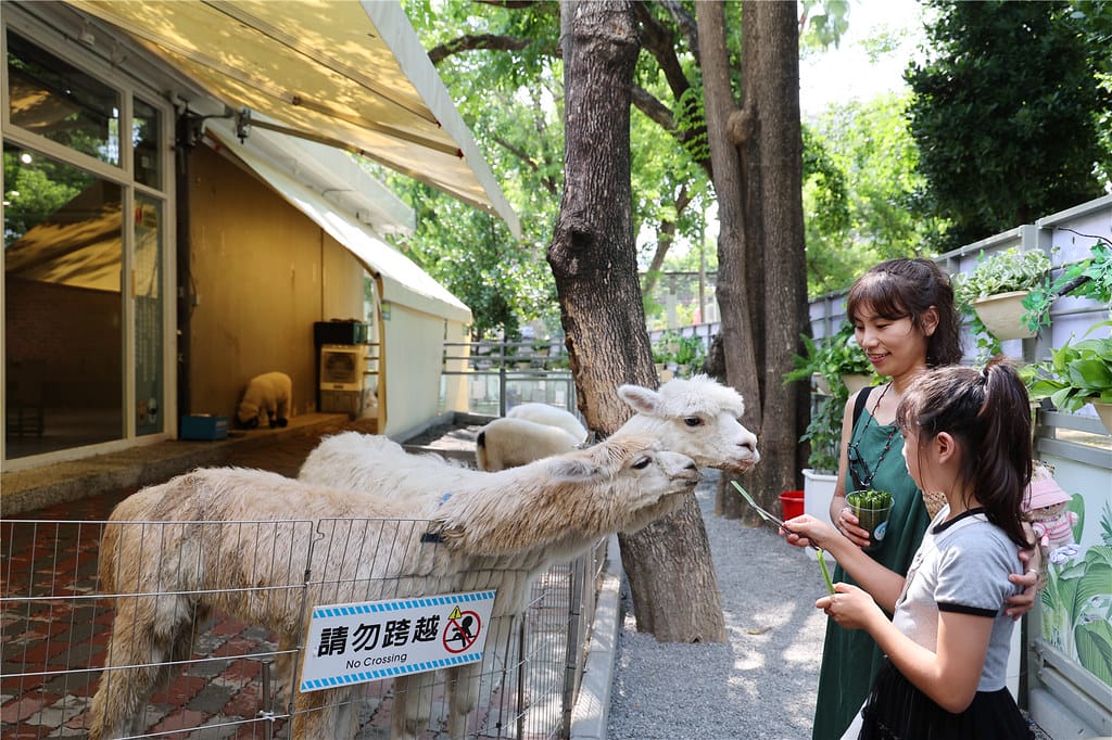 高雄旅遊-天使&惡魔寵物互動園區 城市光廊的華麗轉身!? 超