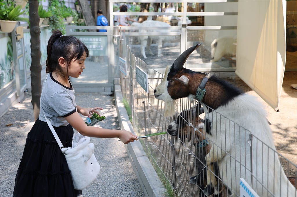 高雄旅遊-天使&惡魔寵物互動園區 城市光廊的華麗轉身!? 超