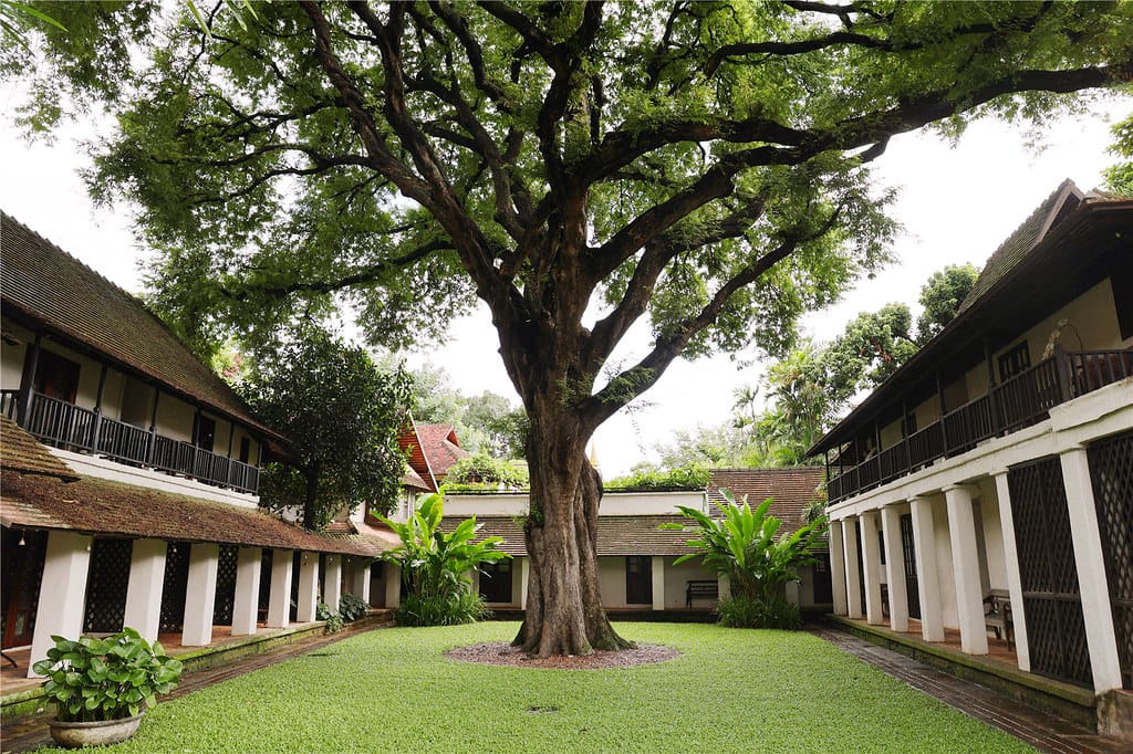 清邁住宿-Tamarind Village 一間充滿森林設計