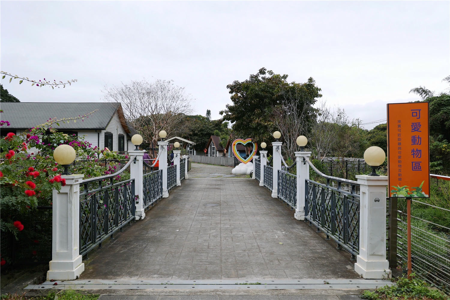桃園旅遊-蘇家莊園 讓可愛浣熊.笑笑羊來療癒你的心靈丨還有迷你小白免.龍貓可互動餵食