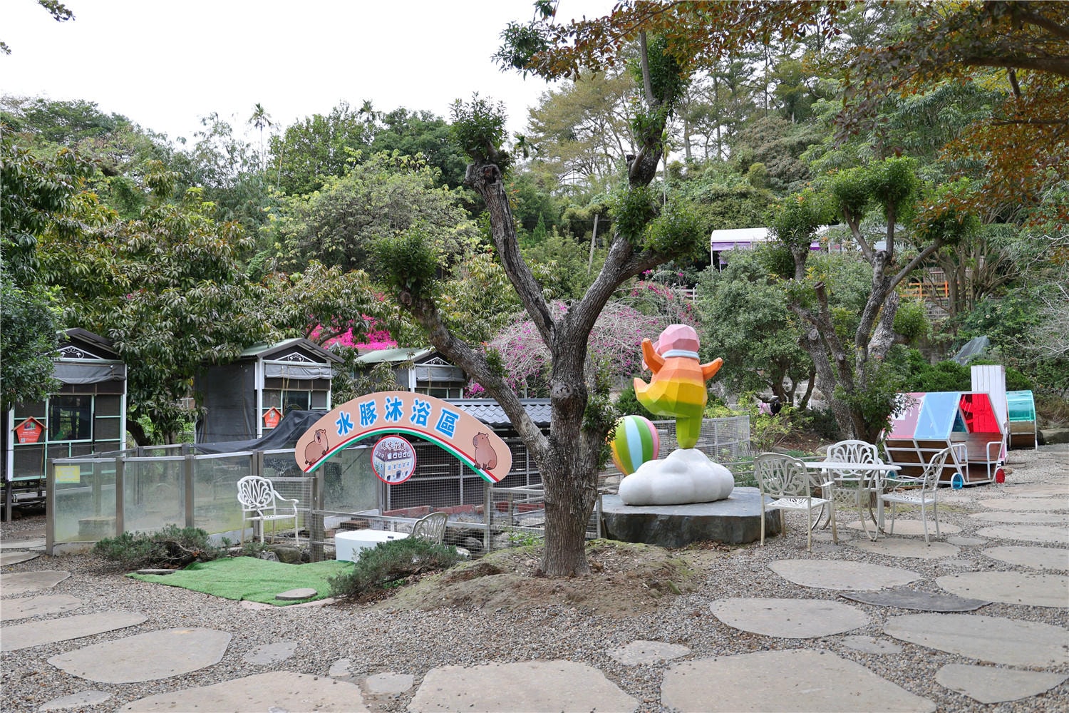 桃園旅遊-蘇家莊園 讓可愛浣熊.笑笑羊來療癒你的心靈丨還有迷你小白免.龍貓可互動餵食
